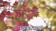 一曲《秋风清露》好听至极!分享给大家音乐背景音乐视频音乐爱奇艺