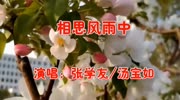 一首经典老歌《相思风雨中》旋律悠扬动听,令人久久难忘!音乐背景音乐视频音乐爱奇艺