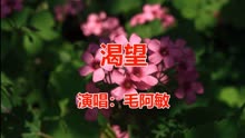 毛阿敏歌曲希望曲谱_毛阿敏相思曲谱