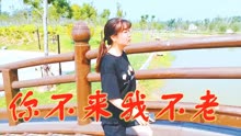 歌曲你不来我不老简谱_你不来我不老简谱