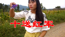 pv_8025861000_d_601_220_124.jpg