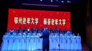 蕲春县老年大学合唱团《我的祖国》 指挥:文志强音乐背景音乐视频音乐爱奇艺