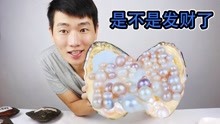 小原花330元从网上买了6个珍珠蚌！开出来的珍珠能值多少钱？