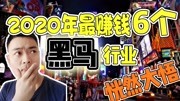 2020年最赚钱的6个黑马行业,再努力不如选对行,创业必须知道!知识名师课堂爱奇艺