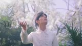 新年福利！肖战献唱《庆余年》片尾曲《余年》官方版MV上线！