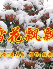 蒋大为雪花飘飘经典老歌好听