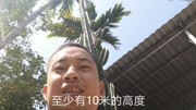 “量天尺”,这个神话般霸气的名字,也只配它拥有了.旅游完整版视频在线观看爱奇艺