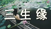 吕口口  三生缘[超高无损音质]【动态歌词】音乐背景音乐视频音乐爱奇艺