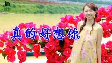 卓依婷真的好想你曲谱_卓依婷亲爱的你