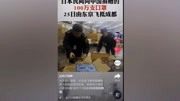 日本向中国捐赠100万只口罩1,日本网友评论:中国人值得!娱乐完整版视频在线观看爱奇艺