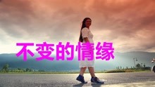 不变的情缘的歌曲谱_不变的情缘