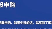 打新股是什么意思?怎么打新股?桥博士《股票入门基础知识》详解财经完整版视频在线观看爱奇艺