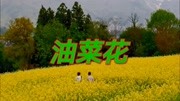 《油菜花》演唱龙飞蒋婴音乐背景音乐视频音乐爱奇艺