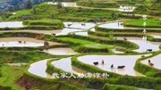 我家在中国 秀丽山川风景图片 视频音乐 音乐背景音乐视频音乐爱奇艺