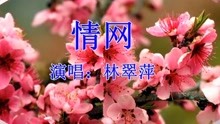 林翠萍情网简谱_林翠萍情网曲谱(2)