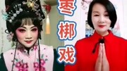 山东枣梆戏曲音乐背景音乐视频音乐爱奇艺