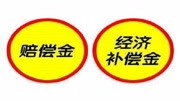 劳动法新规:劳动者没签劳动合同,辞职时公司必须赔偿!资讯搜索最新资讯爱奇艺