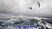 九语下4《海燕》知识名师课堂爱奇艺