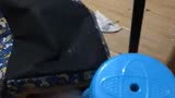 我们家lucky又拆家了