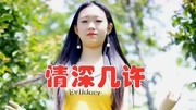 女歌手一首DJ版《情深几许》旋律入心,人美歌甜,听得心儿美美哒音乐背景音乐视频音乐爱奇艺