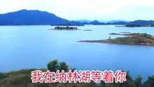 音乐我在纳林湖等着你曲谱_我在纳林湖等着你曲谱(4)