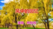 林秋风一首《风中的回忆》句句含情,唯美动听,令人回味久久!音乐背景音乐视频音乐爱奇艺