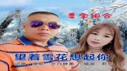 墨歌&宝树  望着雪花想起你HD国语音乐背景音乐视频音乐爱奇艺