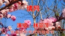 林翠萍情网简谱_林翠萍情网曲谱(2)