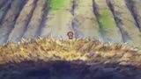 #海贼王 草帽团的改变之路 超燃剪辑