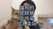 猫狗的皮肤病会传染给人类吗,宠物医生专业解答生活完整版视频在线观看爱奇艺