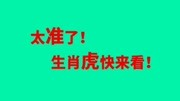 太准了!生肖虎快来看!生活完整版视频在线观看爱奇艺