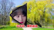 dj版《爱的漩涡》云菲菲音乐背景音乐视频音乐爱奇艺