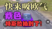 全网最欧 300抽了3辆特斯拉抽奖实况游戏完整版视频在线观看爱奇艺