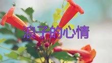 电子琴浪子的心情曲谱_电子琴曲谱(2)