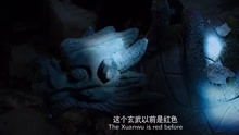 劫后重生，免费观看的短剧魅力之旅，劫后重生，免费短剧的魅力之旅