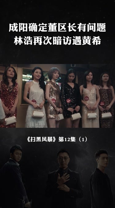 扫黑风暴速看精彩合集