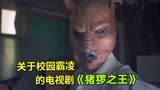 韩剧《猪猡之王》解说，一部关于被校园霸凌后复仇的电视剧