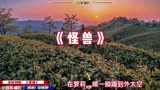 《怪兽》：做最飒最美最优秀的女子，从提高自我修养开始