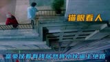 徒手绕百米高楼一圈，就能获得百万奖金，惊悚电影《猫眼看人》