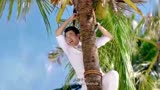 李茶的姑妈：艾琳老爸上树摘椰子，下秒大爆笑！