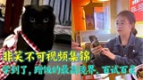 非笑不可视频集锦（第32期）：蹭饭的最高境界，百试百灵，学到了