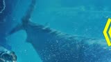 巨齿鲨在海洋兴风作浪，硬汉杰森将潜艇当赛车，重创巨齿鲨