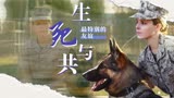 战犬瑞克斯：由真实事件改编，完美诠释狗与人类的美好友谊