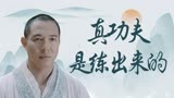 功夫之王：命定的少年穿越而来，只为拯救被邪恶笼罩的大地