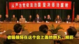 抉择第六集：省委书记宣布反腐行动，副书记现场直冒冷汗，精彩