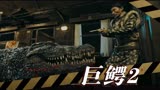 《巨鳄2》巨鳄袭城危机重重，绝地逃生，惊心动魄