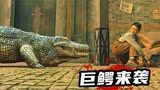 2022最新惊悚片《巨鳄2》，地主杀死巨鳄摆宴席，不料惹来大麻烦