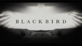 塔伦·埃哲顿主演，美剧《黑鸟》首曝预告，7月8日登陆Apple TV+