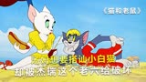 汤姆想要搭讪小白猫，却被杰瑞这个老六给破坏，动画《猫和老鼠》