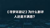 《寻梦环游记》为什么影评人还是不满意？